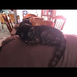 Meet your Posher, Cathy